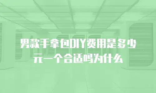 男款手拿包DIY费用是多少元一个合适吗为什么