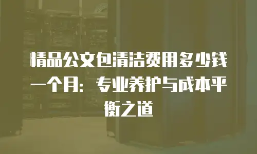 精品公文包清洁费用多少钱一个月：专业养护与成本平衡之道