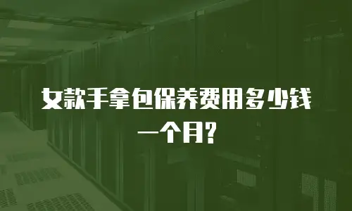  女款手拿包保养费用多少钱一个月?