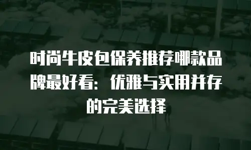 时尚牛皮包保养推荐哪款品牌最好看：优雅与实用并存的完美选择