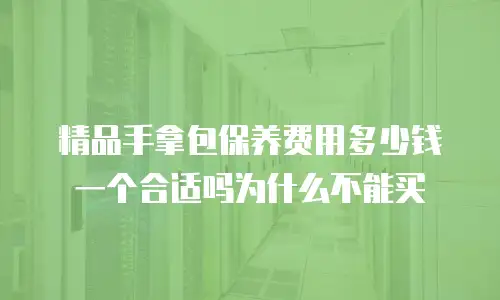 精品手拿包保养费用多少钱一个合适吗为什么不能买