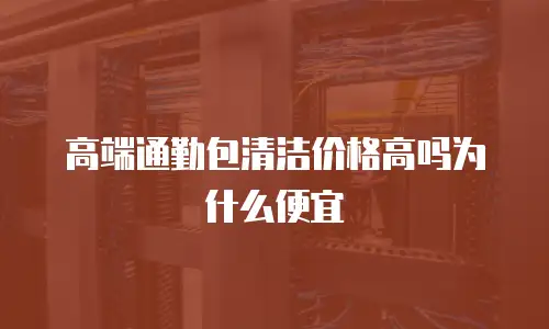 高端通勤包清洁价格高吗为什么便宜