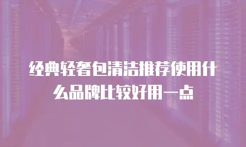 经典轻奢包清洁推荐使用什么品牌比较好用一点
