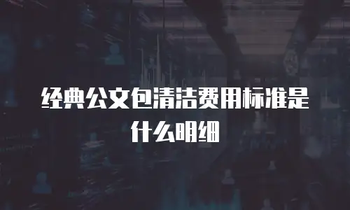 经典公文包清洁费用标准是什么明细