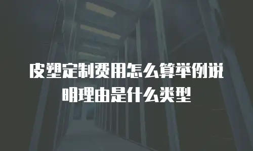 皮塑定制费用怎么算举例说明理由是什么类型