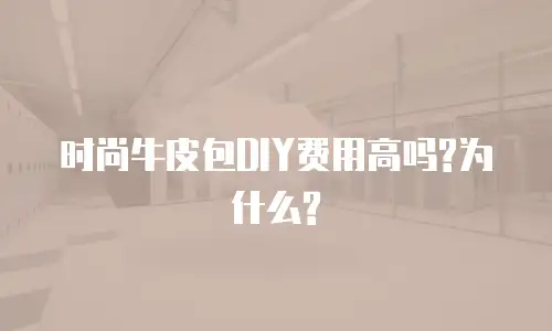 时尚牛皮包DIY费用高吗?为什么?