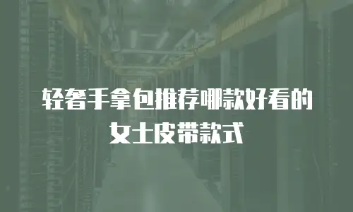 轻奢手拿包推荐哪款好看的女士皮带款式