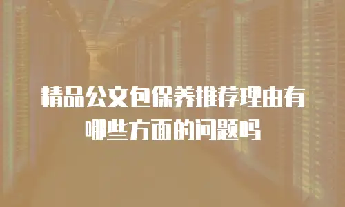 精品公文包保养推荐理由有哪些方面的问题吗