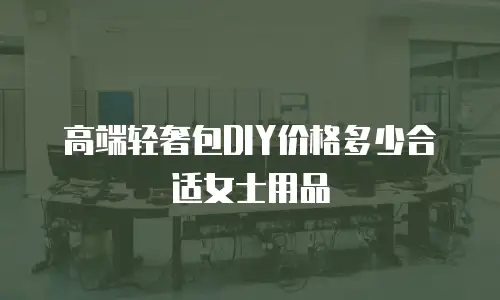 高端轻奢包DIY价格多少合适女士用品