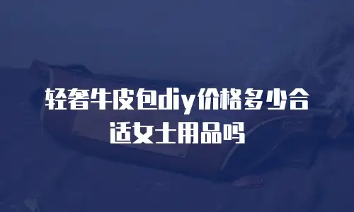 轻奢牛皮包diy价格多少合适女士用品吗