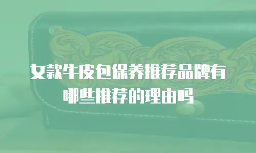 女款牛皮包保养推荐品牌有哪些推荐的理由吗