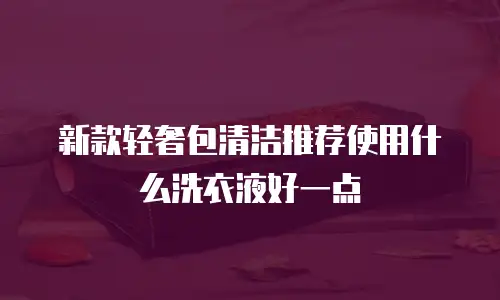 新款轻奢包清洁推荐使用什么洗衣液好一点