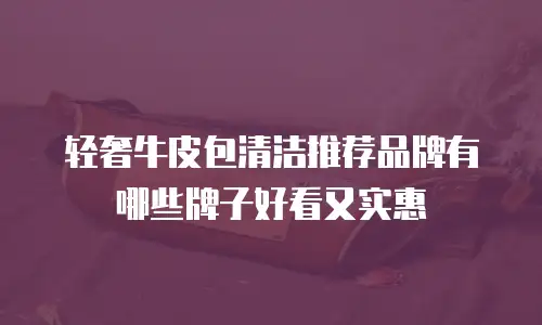 轻奢牛皮包清洁推荐品牌有哪些牌子好看又实惠