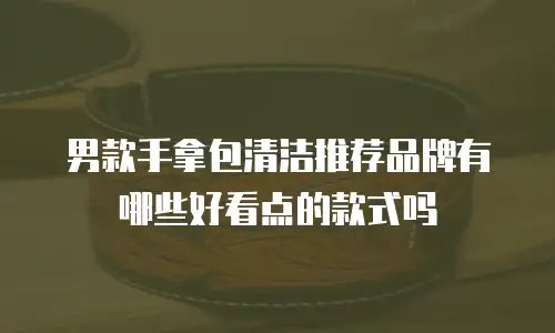 男款手拿包清洁推荐品牌有哪些好看点的款式吗
