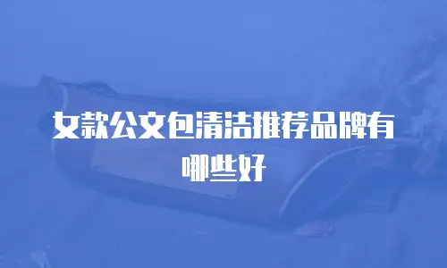 女款公文包清洁推荐品牌有哪些好
