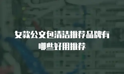 女款公文包清洁推荐品牌有哪些好用推荐