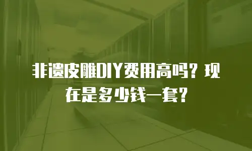 非遗皮雕DIY费用高吗？现在是多少钱一套？