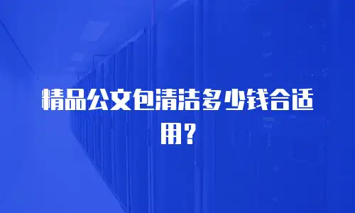 精品公文包清洁多少钱合适用？