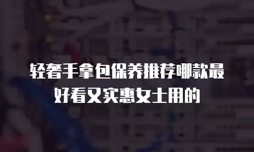轻奢手拿包保养推荐哪款最好看又实惠女士用的