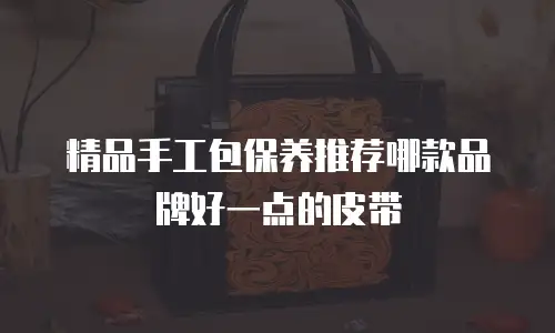 精品手工包保养推荐哪款品牌好一点的皮带