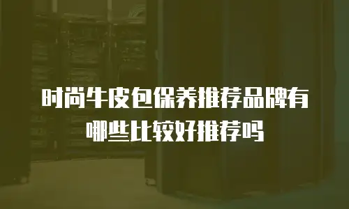 时尚牛皮包保养推荐品牌有哪些比较好推荐吗
