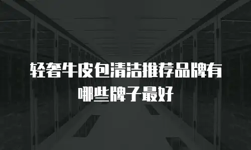 轻奢牛皮包清洁推荐品牌有哪些牌子最好