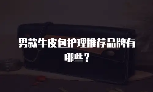 男款牛皮包护理推荐品牌有哪些？
