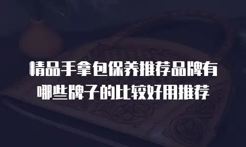 精品手拿包保养推荐品牌有哪些牌子的比较好用推荐