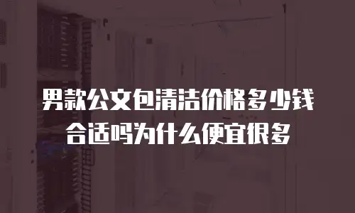 男款公文包清洁价格多少钱合适吗为什么便宜很多