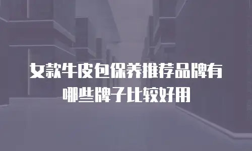 女款牛皮包保养推荐品牌有哪些牌子比较好用