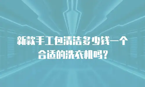 新款手工包清洁多少钱一个合适的洗衣机吗？