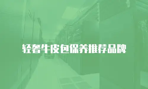 轻奢牛皮包保养推荐品牌