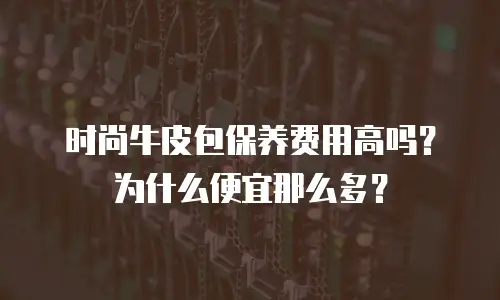 时尚牛皮包保养费用高吗？为什么便宜那么多？