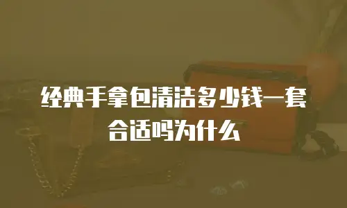 经典手拿包清洁多少钱一套合适吗为什么