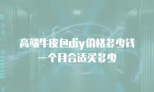 高端牛皮包diy价格多少钱一个月合适买多少