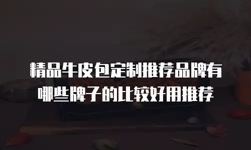 精品牛皮包定制推荐品牌有哪些牌子的比较好用推荐