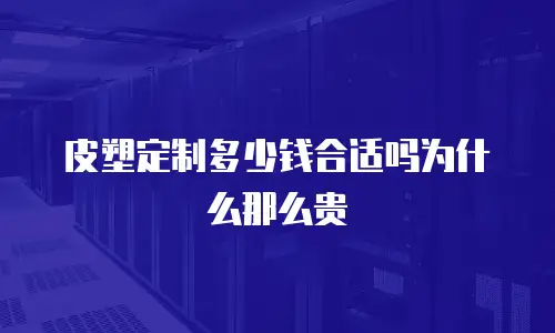 皮塑定制多少钱合适吗为什么那么贵