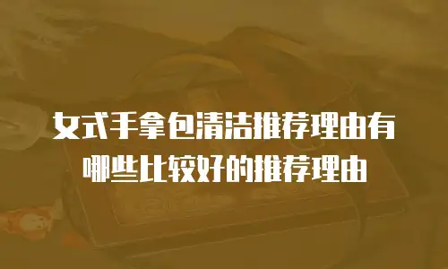 女式手拿包清洁推荐理由有哪些比较好的推荐理由