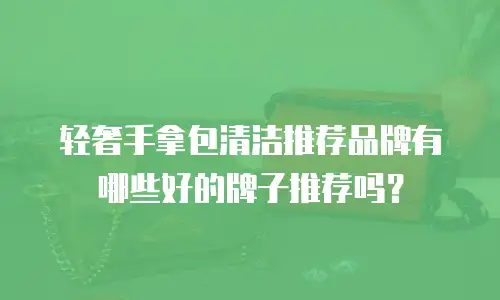轻奢手拿包清洁推荐品牌有哪些好的牌子推荐吗？