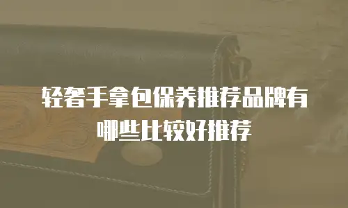 轻奢手拿包保养推荐品牌有哪些比较好推荐