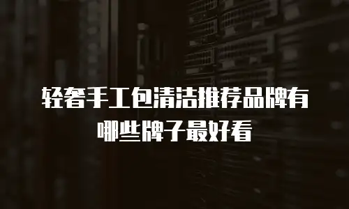 轻奢手工包清洁推荐品牌有哪些牌子最好看