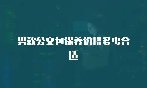 男款公文包保养价格多少合适
