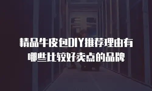精品牛皮包DIY推荐理由有哪些比较好卖点的品牌