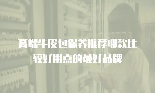 高端牛皮包保养推荐哪款比较好用点的最好品牌