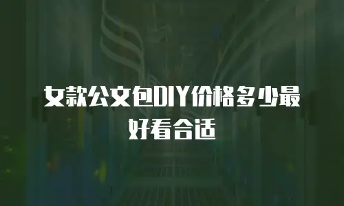 女款公文包DIY价格多少最好看合适