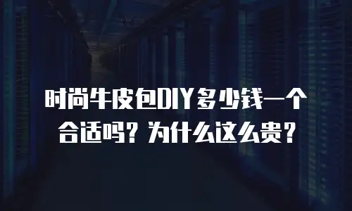 时尚牛皮包DIY多少钱一个合适吗？为什么这么贵？