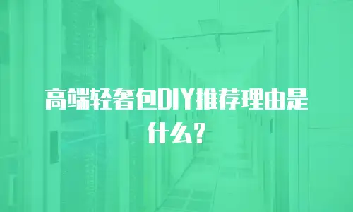高端轻奢包DIY推荐理由是什么？