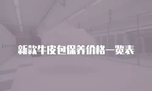 新款牛皮包保养价格一览表