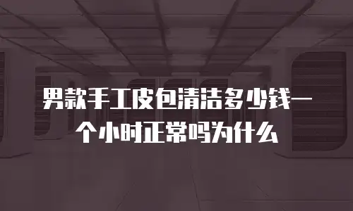 男款手工皮包清洁多少钱一个小时正常吗为什么