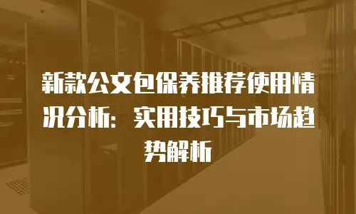 新款公文包保养推荐使用情况分析：实用技巧与市场趋势解析